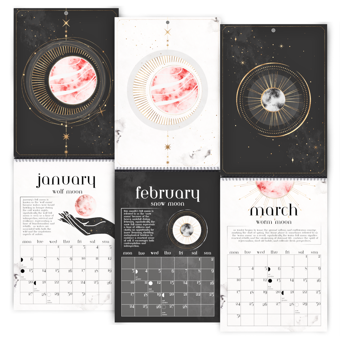 2025 Lunar Calendar | Witches Calendar 2025