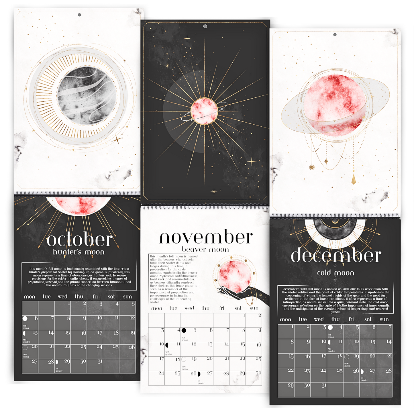 2025 Lunar Calendar | Witches Calendar 2025